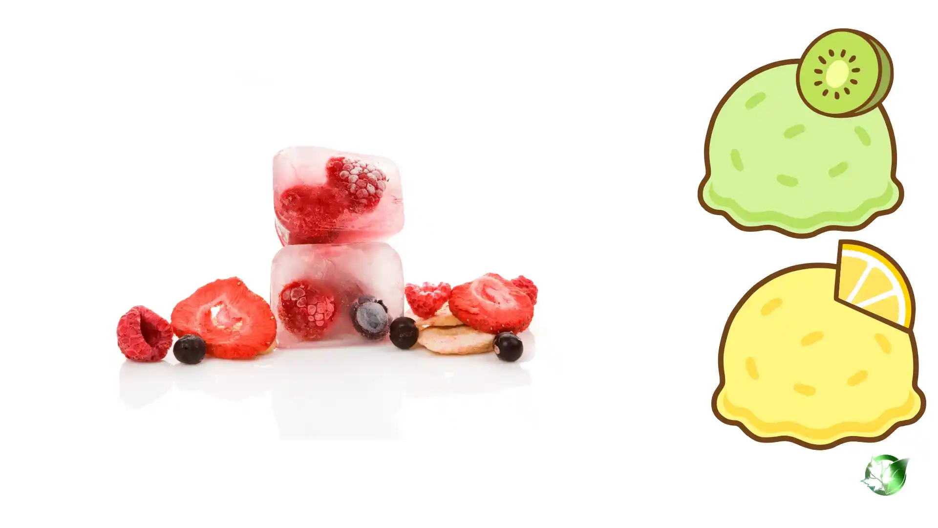 Supplier evaluation for Freeze-Dried Ice Cream should cover specification, packaging, documentation, logistics, and complete delivered expense.